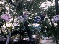 photos 2000-200901501